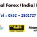 National Forex India Pvt Ltd.
